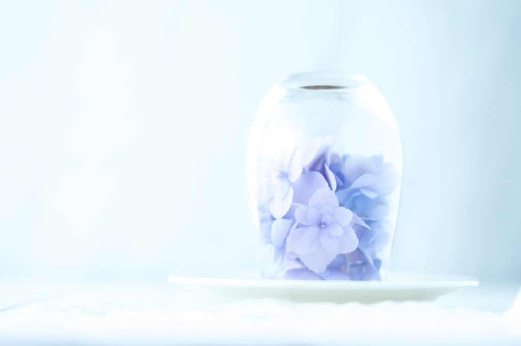 白の交差点にある花