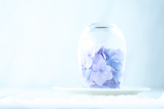 白の交差点にある花