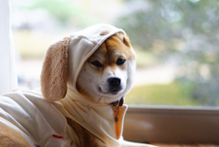 迷惑