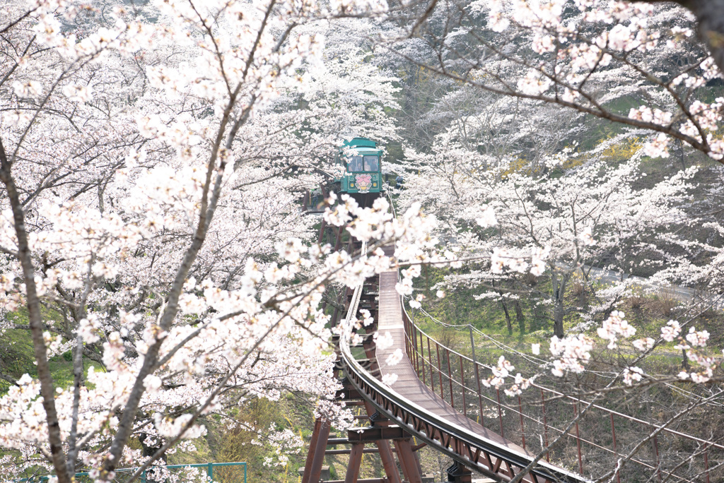 運休中
