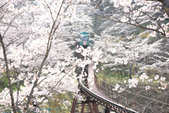 運休中