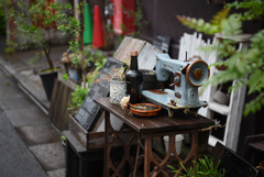 display