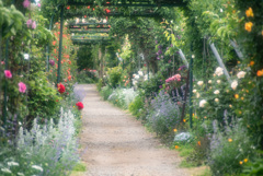 flower road