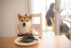 偏食