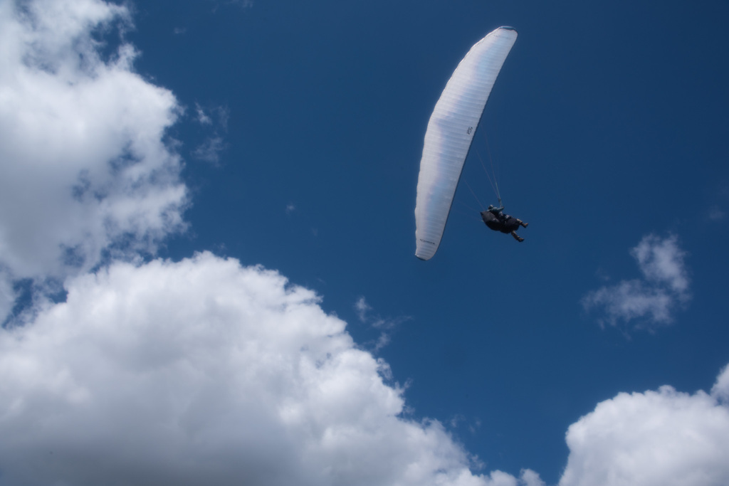 空も飛べるはず