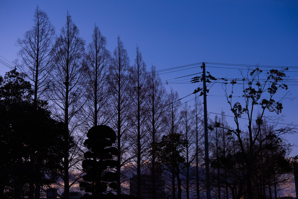 blue hour