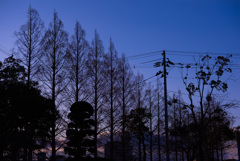 blue hour
