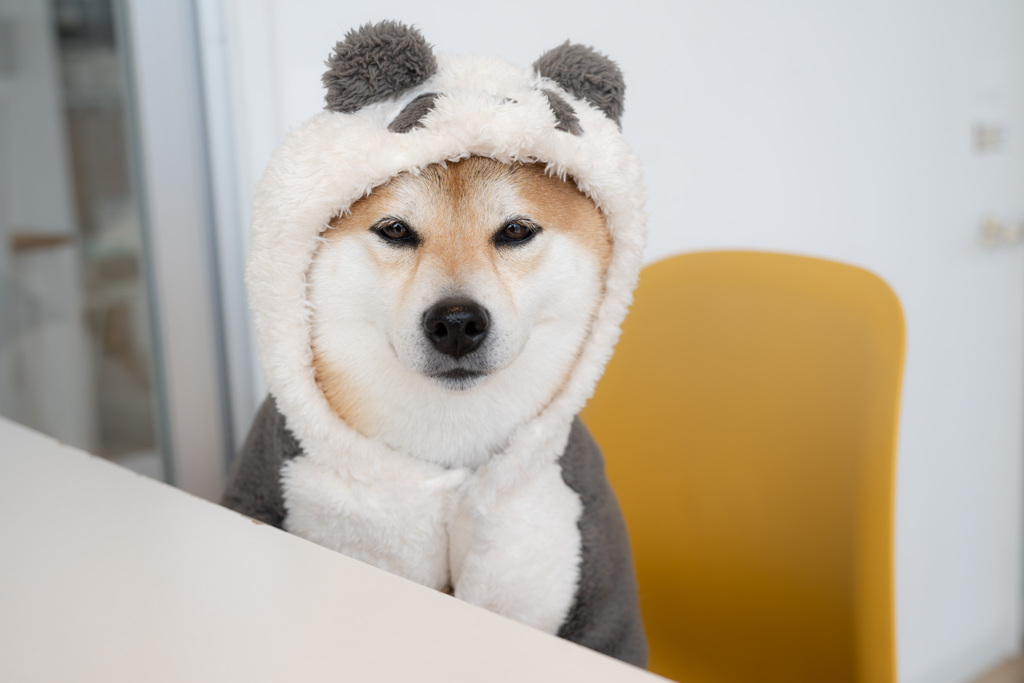 パンダの代わりに