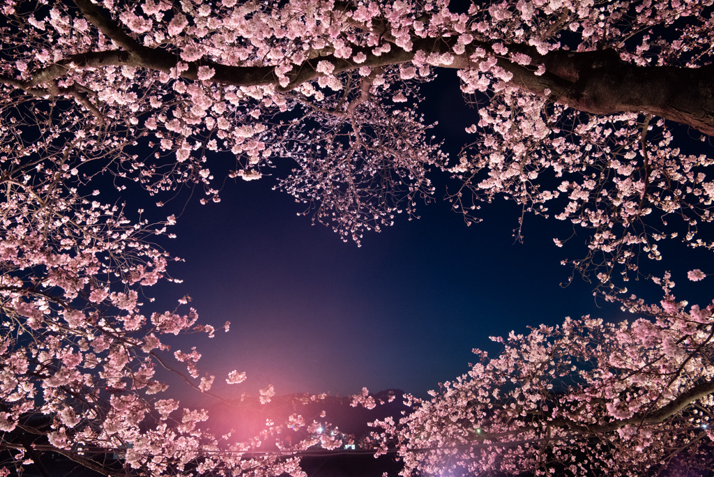 夜空にハート