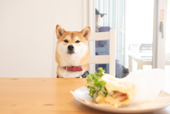 ワタチのは?