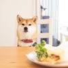 ワタチのは?