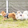 むぎちゃん、遅いよ