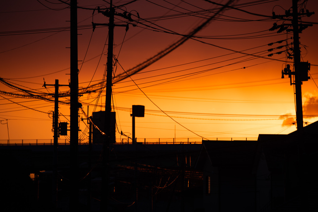 朝焼けと電線