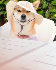 お出かけ楽しいね。
