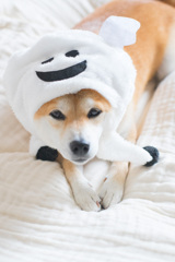 三つ指？