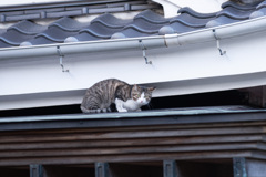 目と目で通じ合う