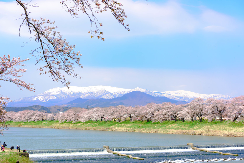 一目千本桜