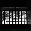 雪景色