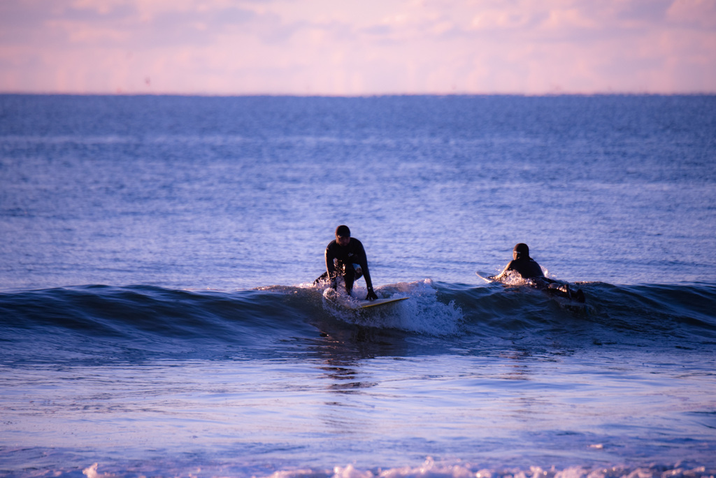 surfing