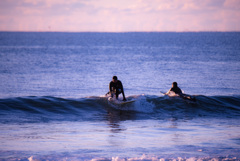 surfing