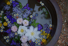 花手水