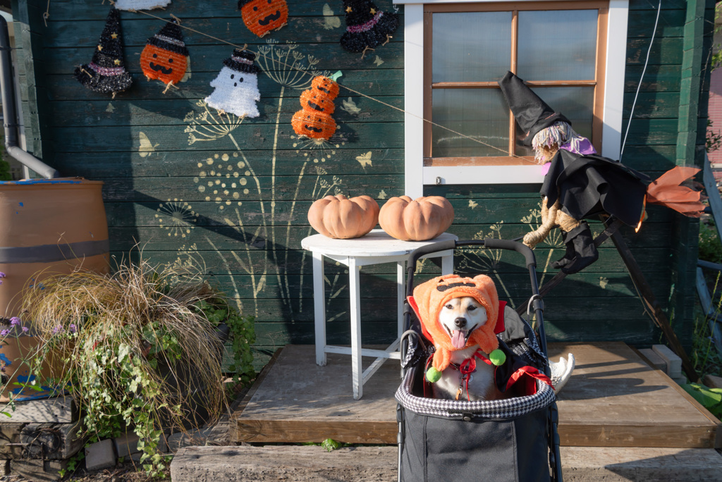 Halloween