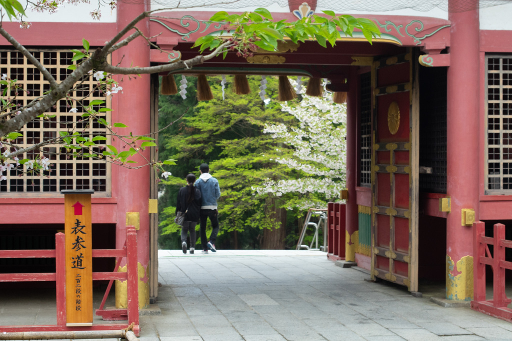 散り桜に