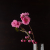 花桃