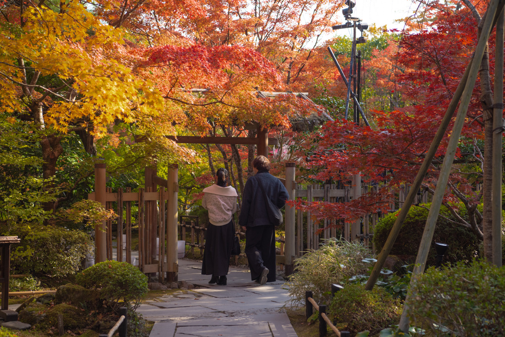 円通院の紅葉