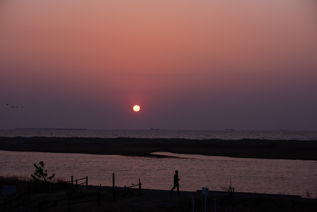 干潟の夜明け