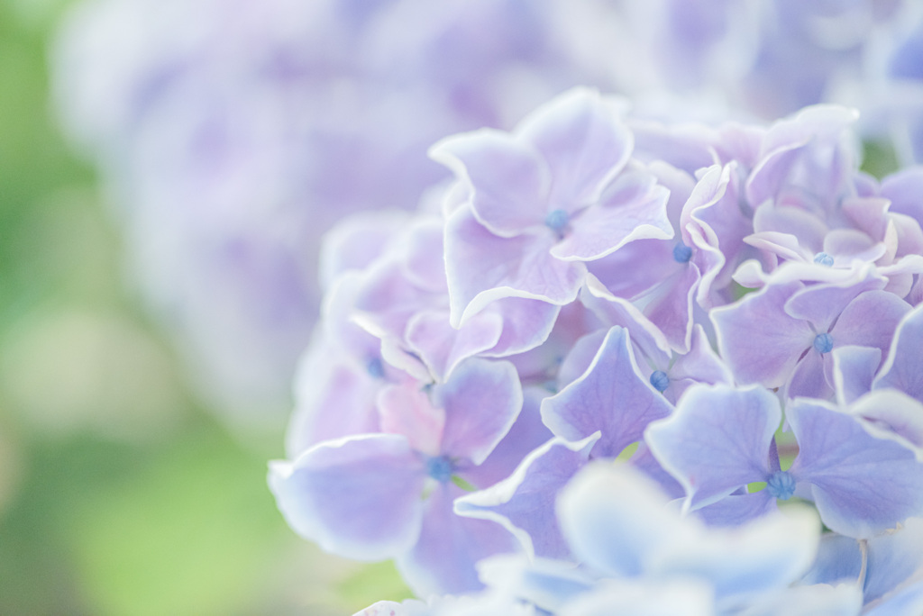 gradation