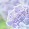 gradation