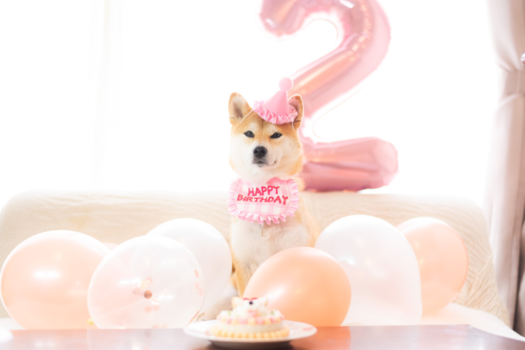 ２歳おめでとう。