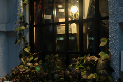 lamp