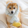 メイド犬