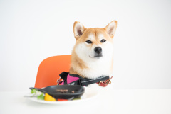 偏食