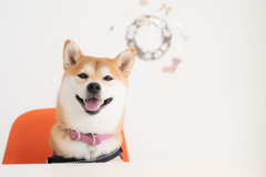 スッキリしてスマイル♪