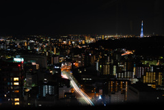 Sendai  night view.