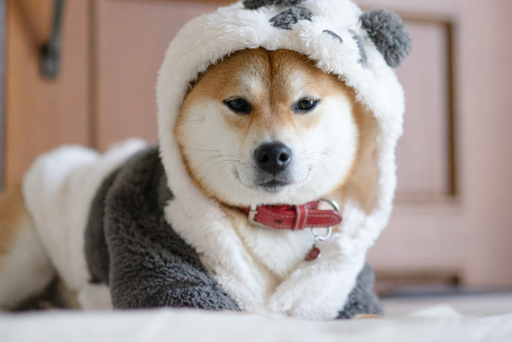 迷惑
