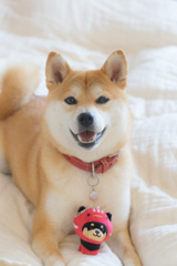 脱走兵