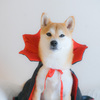 ハロウィンコス