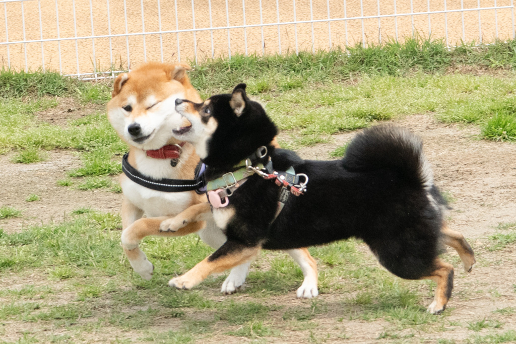 アウチっ