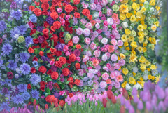花の玉手箱
