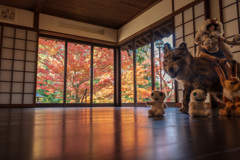 文知摺観音　床紅葉