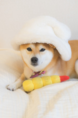 エビフライを添えて