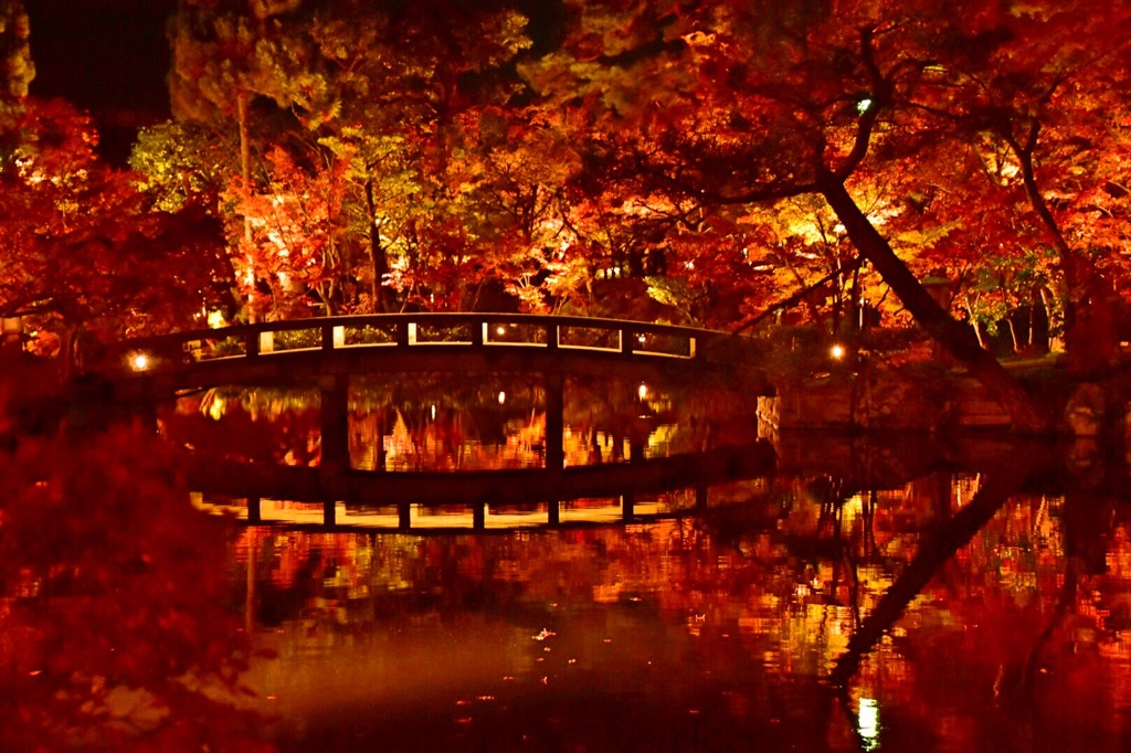 真っ赤な世界