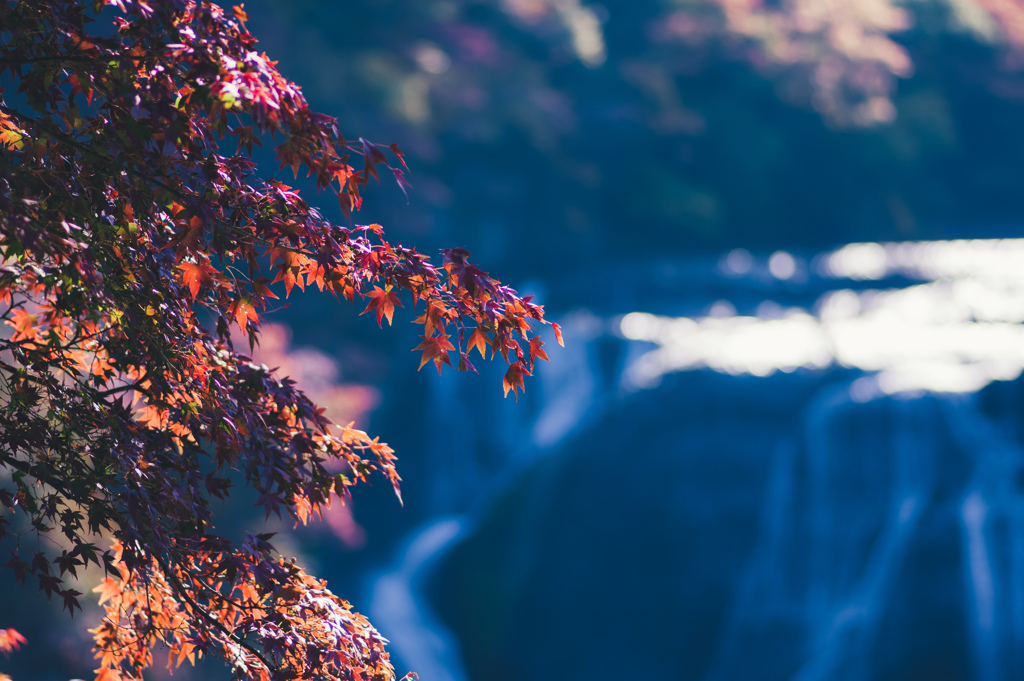 かさかさ紅葉ときらきら滝