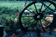 秋の装飾～車輪～