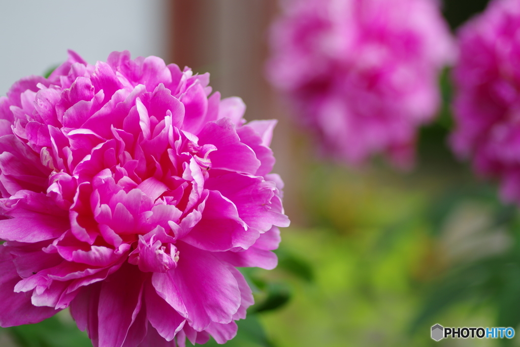 その人の名前を知ったのはずいぶん後になってからだった