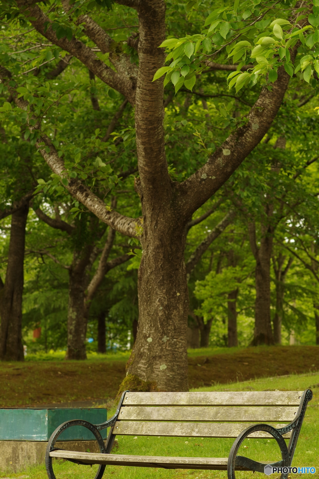 歳を取ってもまた二人でここに座ろうね